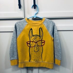 3/$15 Cat & Jack Llama Sweat shirt 🦙